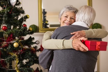 Obraz na płótnie Canvas Senior couple hugging beside their christmas tree