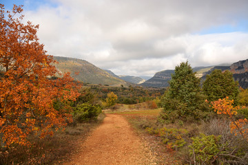 colores de otoño en el valle del ebro