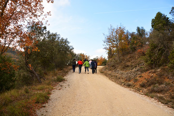 Fototapeta premium grupo de gente caminando por el monte