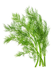 dill herb leaf isolated on white. food ingredient © LiliGraphie