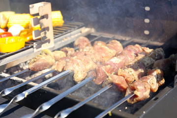Skewers and vegetableq on barbecue grill, close-up