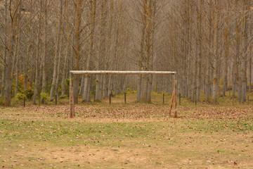 campo de futbol en otoño © uzkiland