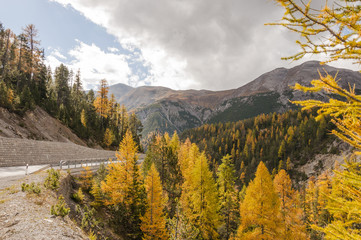 Zernez, Bergdorf, Bergstrasse, Ofenpass, Alpen, Schweiz