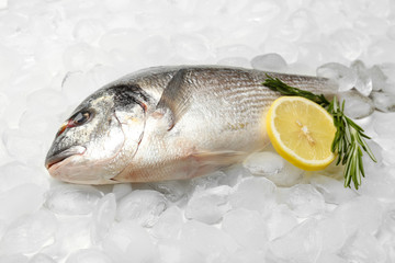 Fresh fish on ice