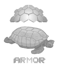 Armor turtle draw
