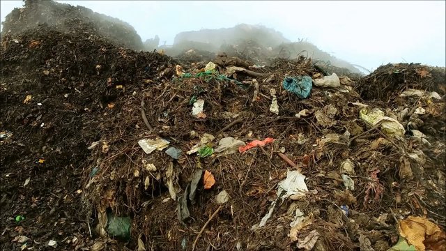 Close-up Video Kompostierung