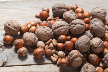 walnuts and hazelnuts