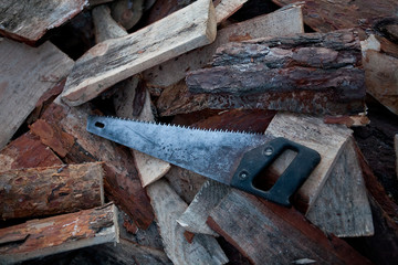 carpenter  works on woodworking the machine tool