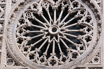 Detail of Carrara Cathedral XII century - Italy