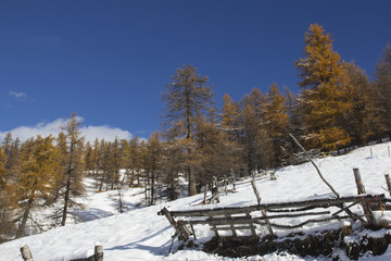 la staccionata