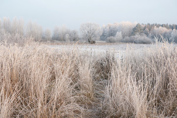 Fototapeta premium Дорога к замёрзшему пруду