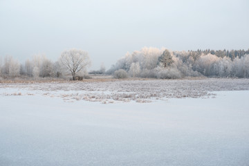 Замёрзший пруд зимой