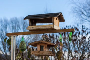 Vogelhaus - Vogelh&auml;uschen im Herbst