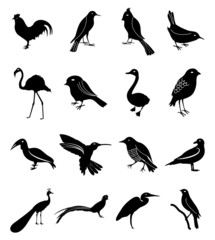 Birds icons set