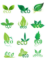 Eco friendly logo design elements set