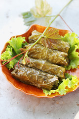 dish Caucasus