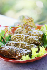 Dolma on the table
