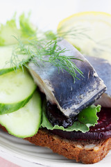 sandwich with herring