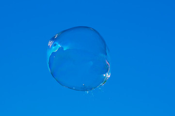 Soap bubble on blue background