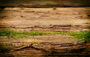 Leeres Holzbrett mit Moos