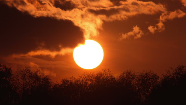 The picturesque sunset (sunrise) above forest