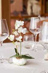 ready restaurant table and orchid plant