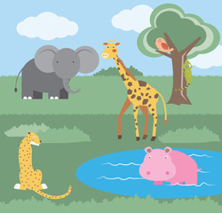 Cute animals in Safari park