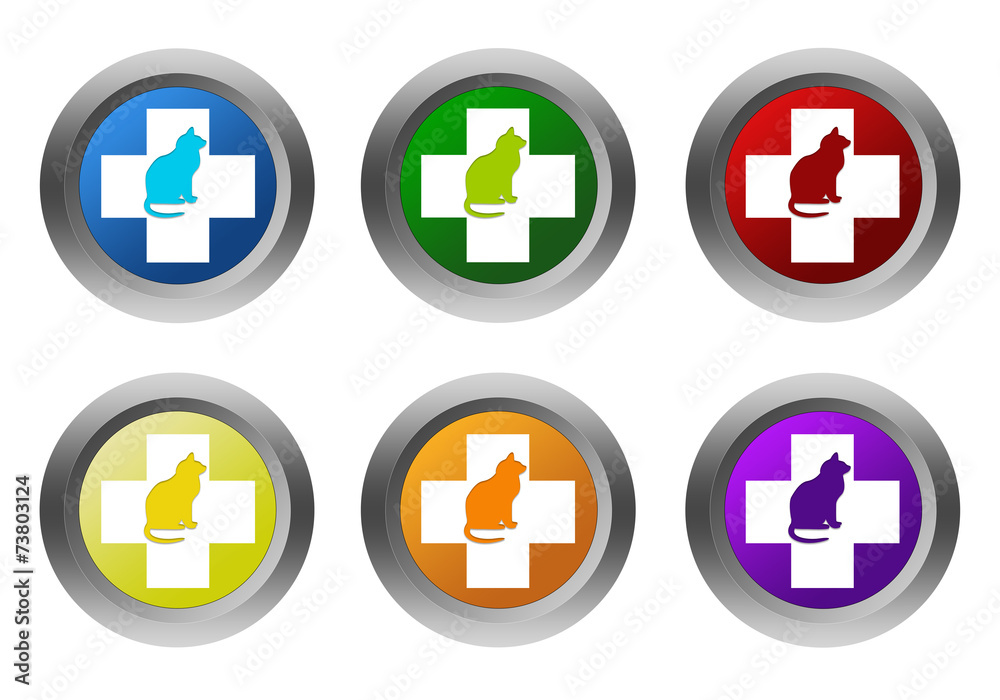 Wall mural set of rounded colorful buttons with veterinary and cat symbol