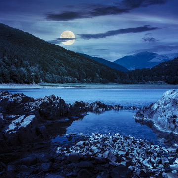 lake shore with stones near pine forest on mountain at night