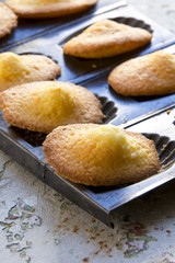Madeleines à la vanille