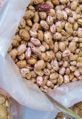 The pinto bean is a variety of common beans (Phaseolus vulgaris)