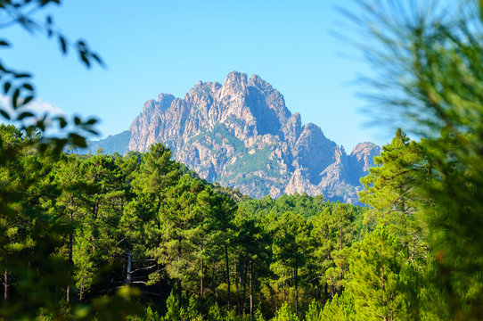 Alentours de Zonza (Corsica)