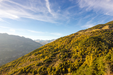 montagna con alberi in autunno