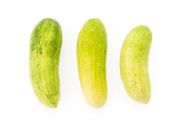 Cucumber