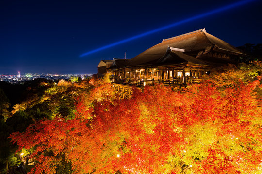 清水寺の紅葉　夜景