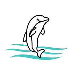 dolphin vector