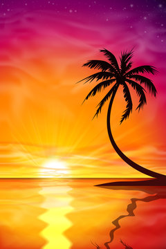 Sunset, Sunrise with Palm Tree