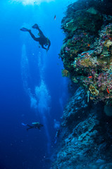 Divers are swimming in Banda, Indonesia underwater