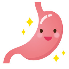 臓器のイラスト　胃