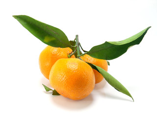 orange with leaf on a white background