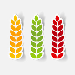 realistic design element: ears of wheat