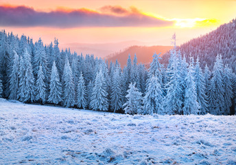 Obraz premium Beautiful winter sunrise in the mountains