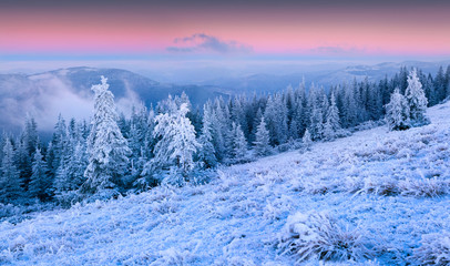 Beautiful winter sunrise in the mountain forest.