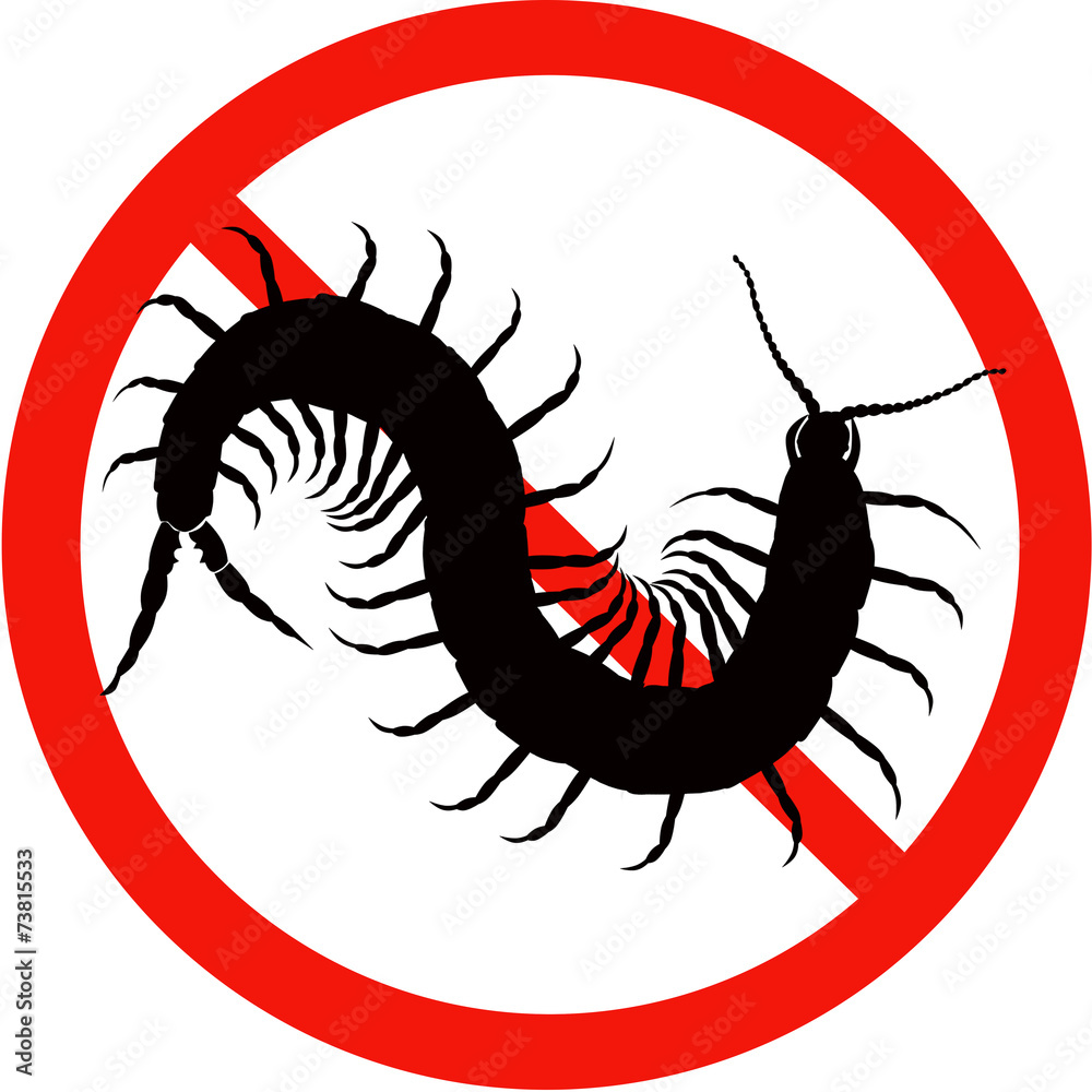 Wall mural dangerous insect road signs