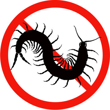 dangerous insect road signs