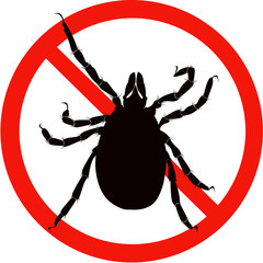 dangerous insect road signs