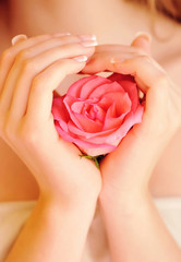 Closeup image of pink french manicure with rose