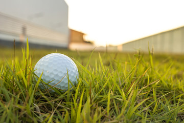 Golf ball on green grass background