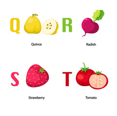 Alphabet Q-T letter.quince,radis h,strawberry,tomato .vector