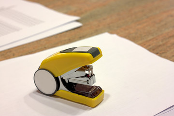 the stapler on paper